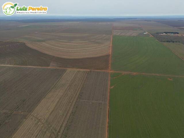 #2942 - Fazenda para Venda em Campo Novo do Parecis - MT - 2