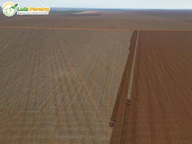 Fazenda para Venda em Campo Novo do Parecis - 5