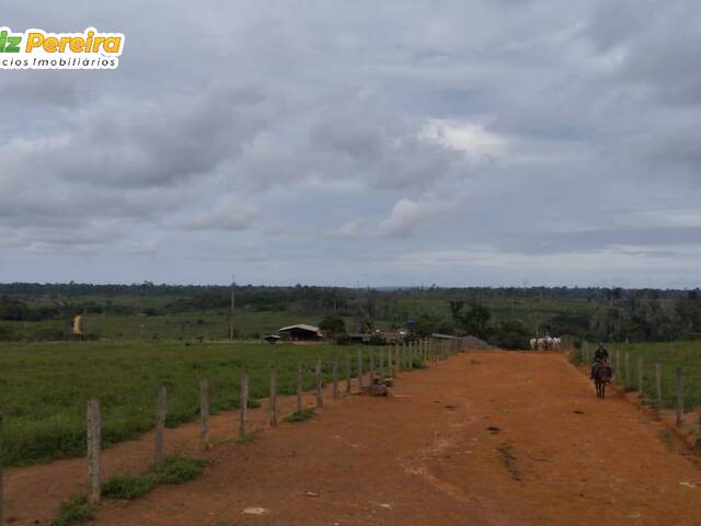 Fazenda para Venda em Tucuruí - 5