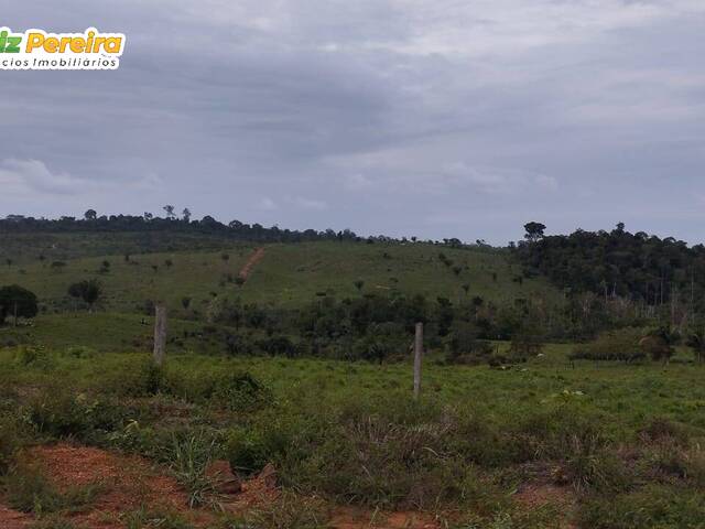 #2943 - Fazenda para Venda em Tucuruí - PA - 2