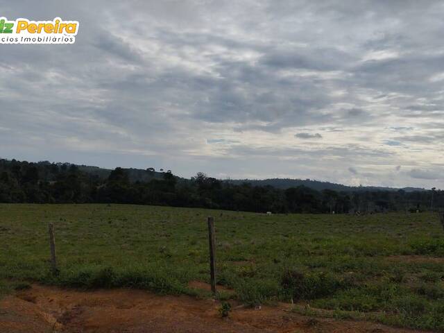 #2943 - Fazenda para Venda em Tucuruí - PA - 3