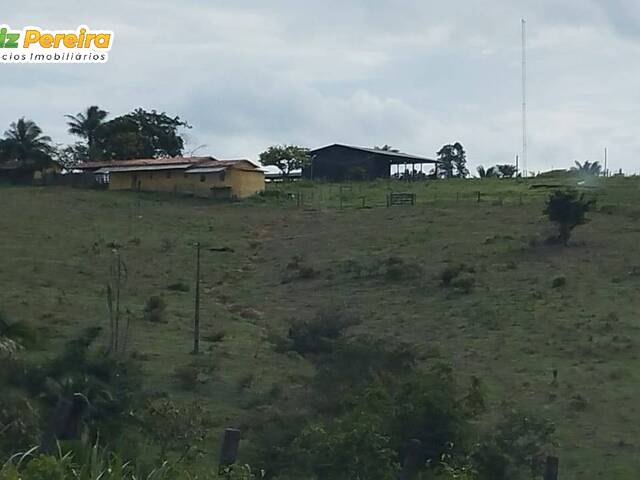 Fazenda para Venda em Tucuruí - 4