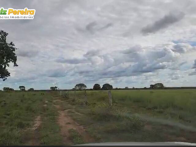 Fazenda para Venda em São Valério da Natividade - 5