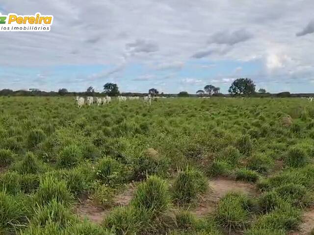 Fazenda para Venda em São Valério da Natividade - 4