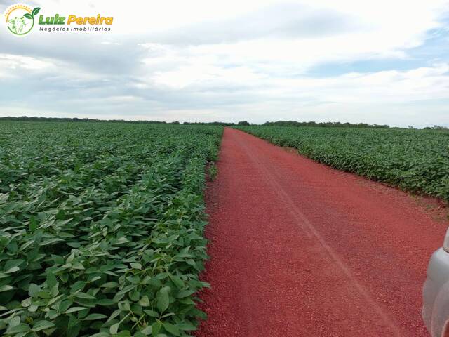 Fazenda para Venda em Pedro Afonso - 4