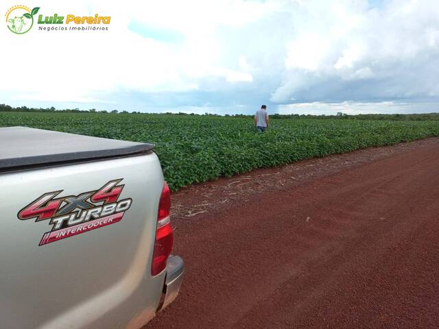 Fazenda para Venda em Pedro Afonso - 5