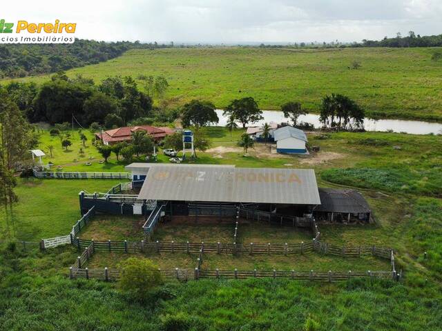 Fazenda para Venda em Jacundá - 4