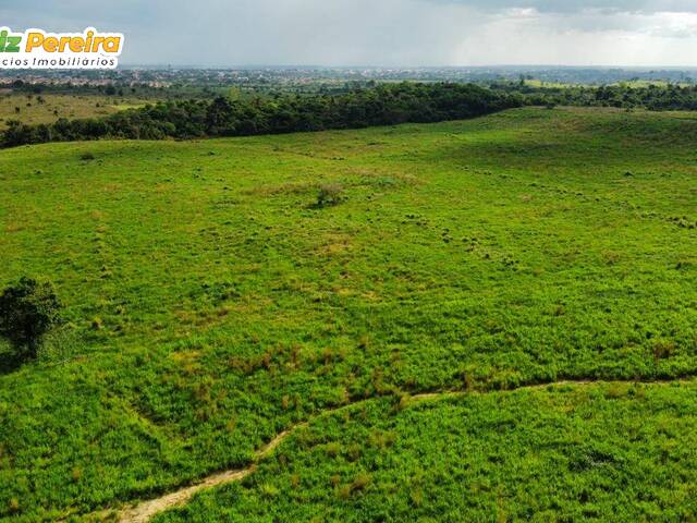 Fazenda para Venda em Jacundá - 5