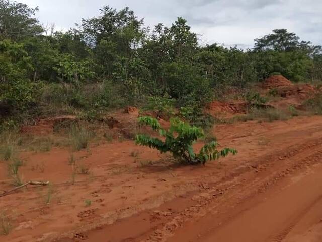 Fazenda para Venda em Alto Araguaia - 4