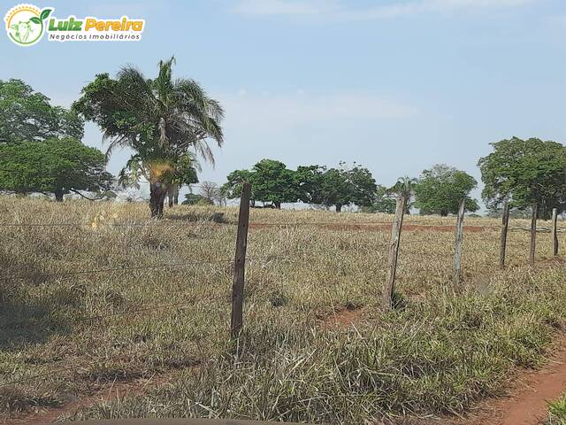 Fazenda para Venda em Santa Vitória - 5
