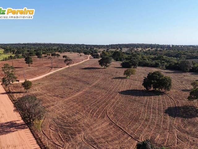 Fazenda para Venda em Corguinho - 4