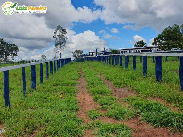 Fazenda para Venda em Figueirão - 5