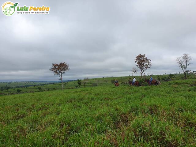 Fazenda para Venda em Figueirão - 4