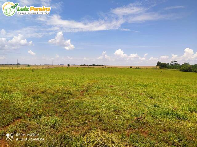Fazenda para Venda em Sidrolândia - 4