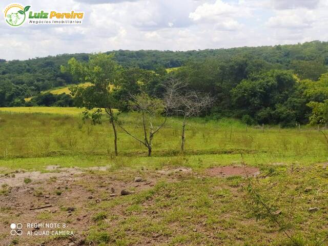 Fazenda para Venda em Sidrolândia - 5