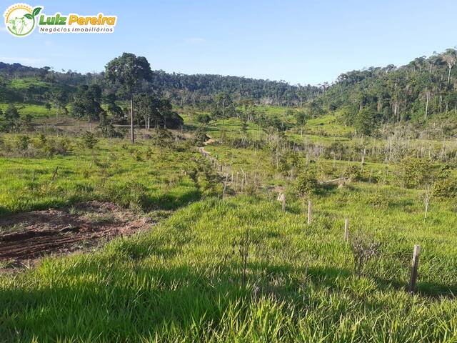 Fazenda para Venda em São Félix do Xingu - 4