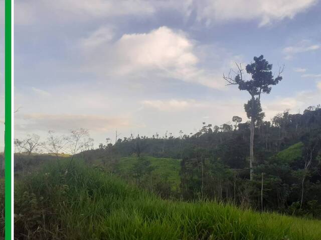 Fazenda para Venda em São Félix do Xingu - 5
