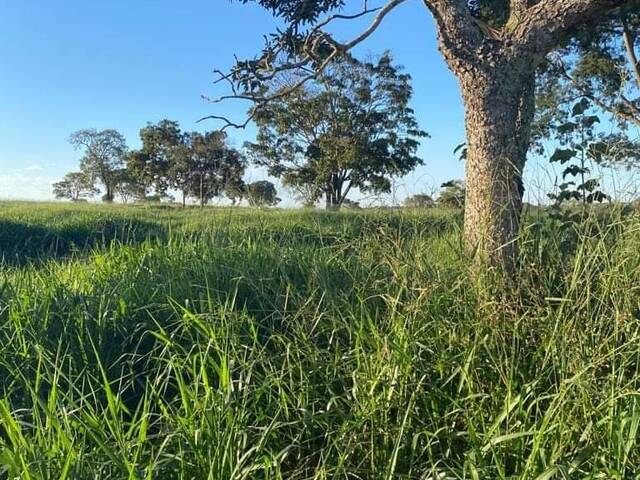 Fazenda para Venda em Paraíso das Águas - 5