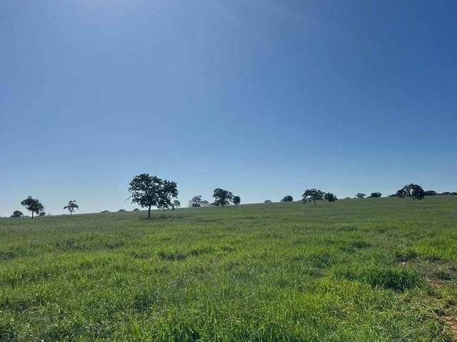 Fazenda para Venda em Paraíso das Águas - 4