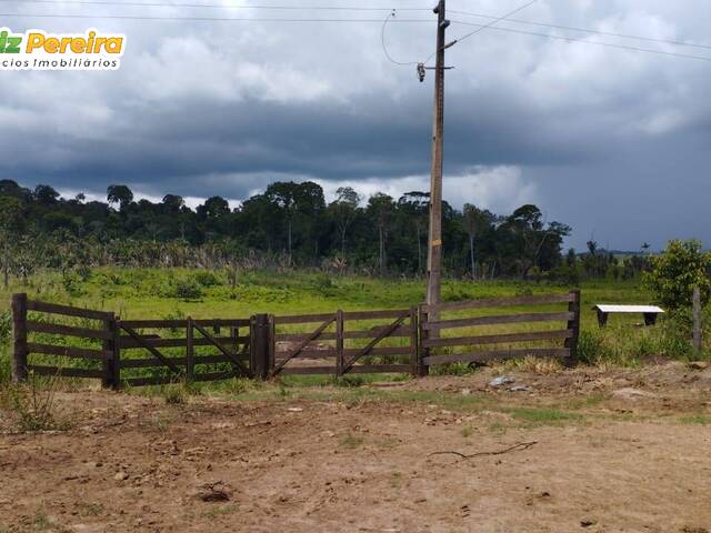 Fazenda para Venda em Pacajá - 5