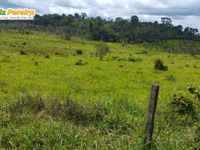 Fazenda para Venda em Pacajá - 4