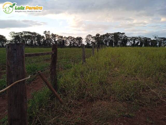 Fazenda para Venda em Caracol - 5