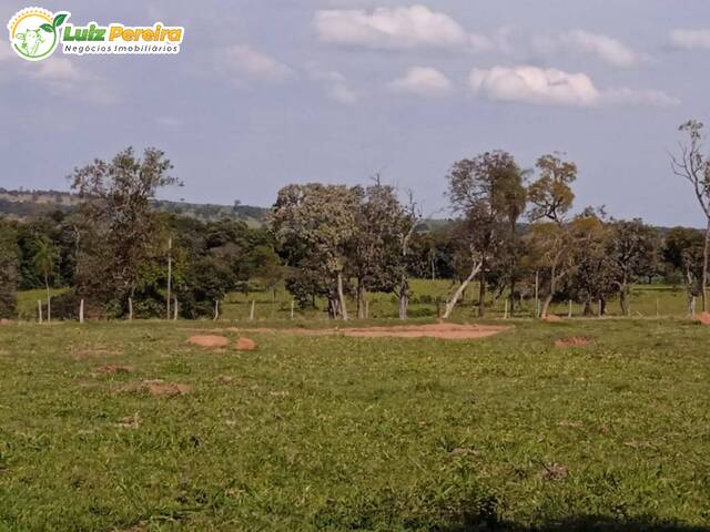 Venda em Zona Rural - Caracol