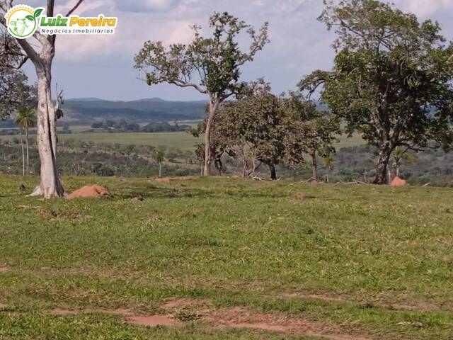 Fazenda para Venda em Caracol - 4