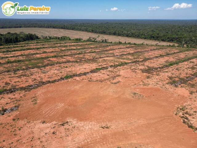 Fazenda para Venda em Itaúba - 5