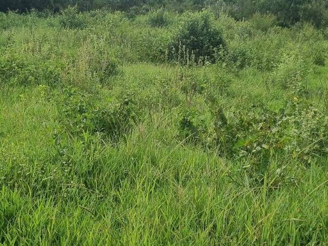 Fazenda para Venda em Coxim - 5