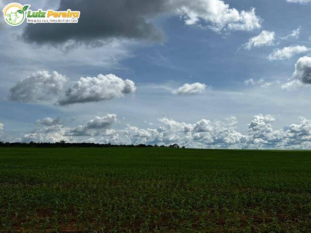 Fazenda para Venda em Araguaína - 4