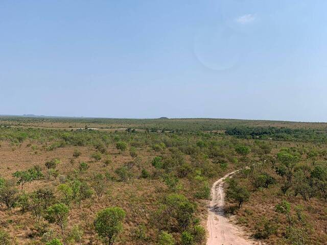 Fazenda para Venda em Almas - 4