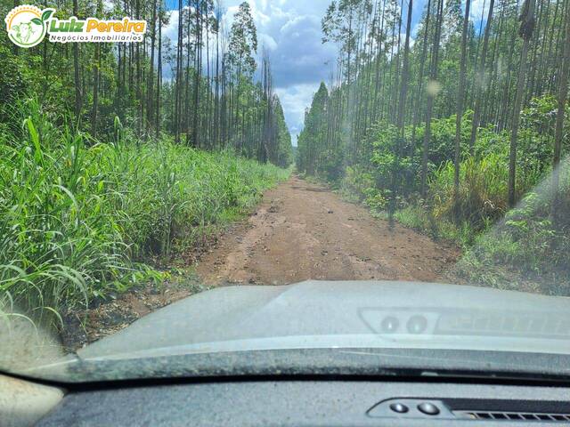 Fazenda para Venda em Araguaína - 4
