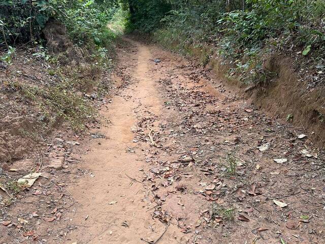 Fazenda para Venda em Buriti Bravo - 5