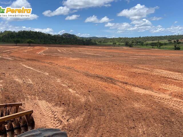 Fazenda para Venda em Darcinópolis - 4