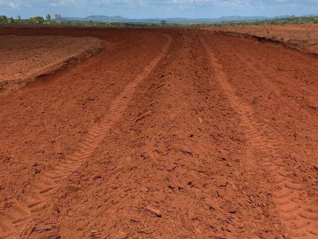 Fazenda para Venda em Darcinópolis - 5