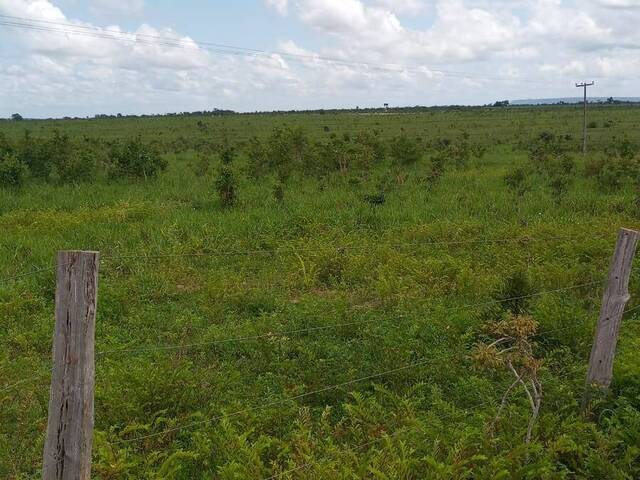 Fazenda para Venda em Sambaíba - 5