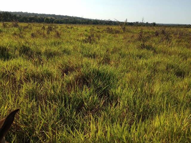 Fazenda para Venda em Confresa - 5