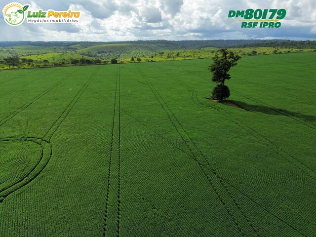 Fazenda para Venda em Paragominas - 5