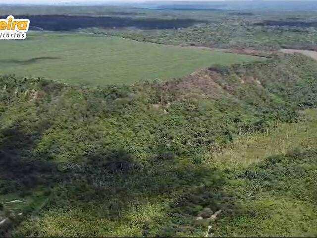 Fazenda para Venda em Paragominas - 4