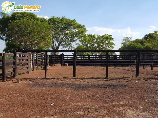 Fazenda para Venda em Peixe - 4
