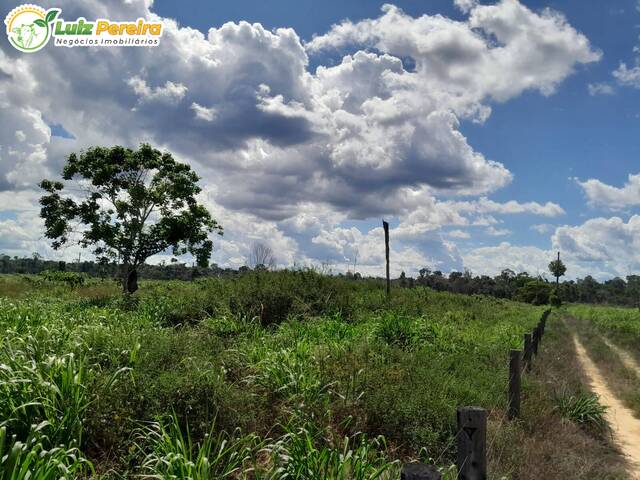 Fazenda para Venda em Pacajá - 5