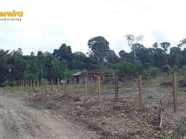 Fazenda para Venda em Santarém - 4