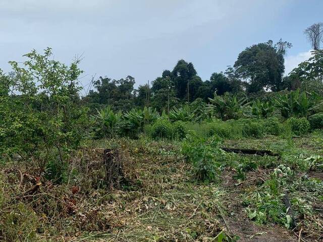 Fazenda para Venda em Santarém - 5