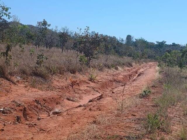 Fazenda para Venda em Carolina - 4