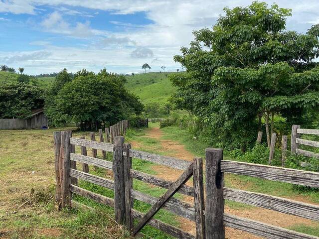 #2993 - Fazenda para Venda em Pacajá - PA