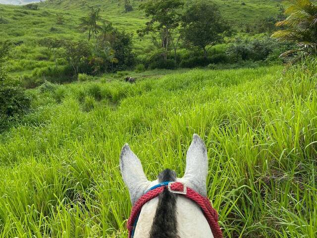Fazenda para Venda em Pacajá - 4