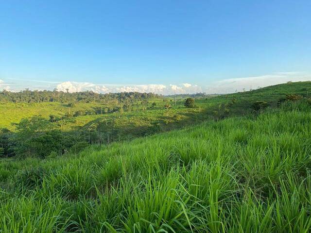 Fazenda para Venda em Pacajá - 5