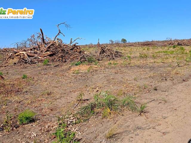 Fazenda para Venda em São Félix de Balsas - 5