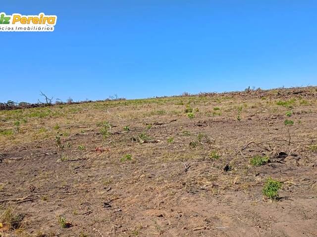 Fazenda para Venda em São Félix de Balsas - 4